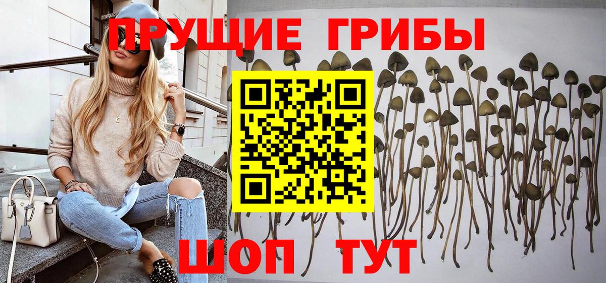 Кодеин Губаха