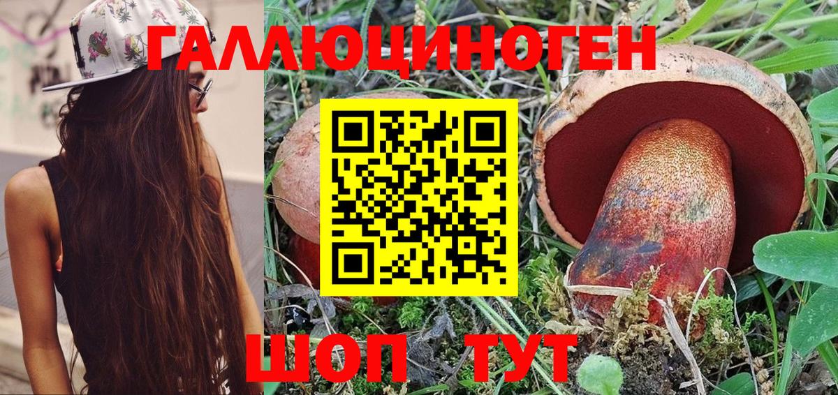 Псилоцибиновые грибы мицелий  Галлюциногенные грибы Cubensis  Вход с VPN  что такое наркотик  Губаха 